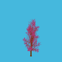 greenshift tree