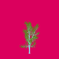 greenshift tree