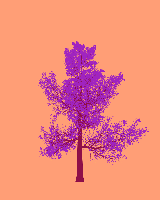 greenshift tree