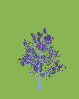 greenshift tree