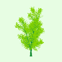 greenshift tree