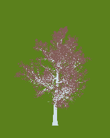 greenshift tree