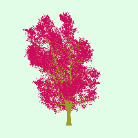 greenshift tree