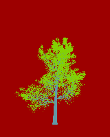 greenshift tree