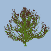 greenshift tree