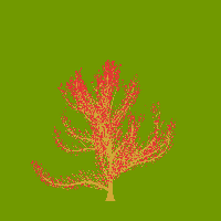 greenshift tree