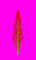 greenshift tree