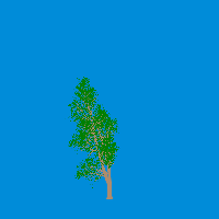 greenshift tree