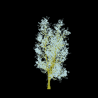 greenshift tree