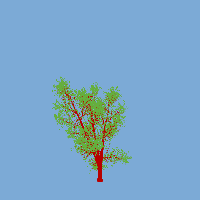 greenshift tree