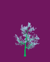 greenshift tree
