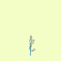 greenshift tree