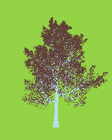 greenshift tree