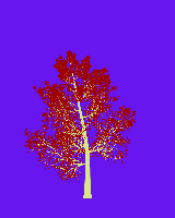 greenshift tree