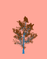 greenshift tree