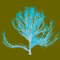 greenshift tree