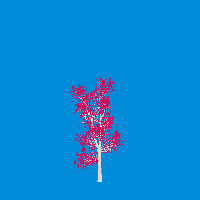 greenshift tree