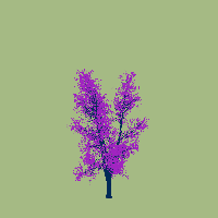 greenshift tree