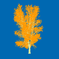 greenshift tree
