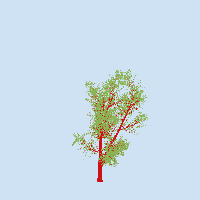 greenshift tree
