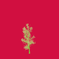 greenshift tree