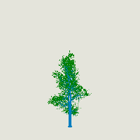 greenshift tree