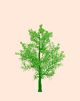 greenshift tree