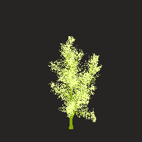 greenshift tree