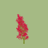 greenshift tree