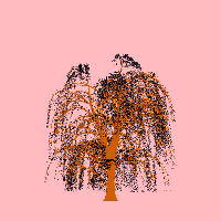 greenshift tree