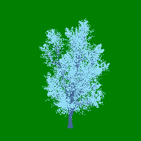 greenshift tree