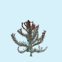 greenshift tree