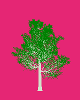 greenshift tree