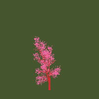 greenshift tree