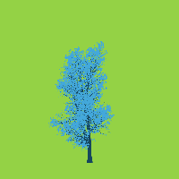 greenshift tree