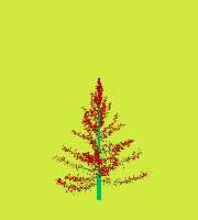 greenshift tree
