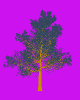 greenshift tree