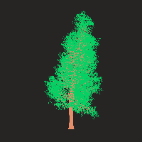 greenshift tree