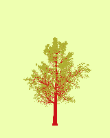 greenshift tree