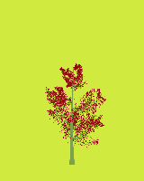 greenshift tree