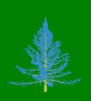 greenshift tree