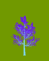 greenshift tree