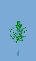 greenshift tree