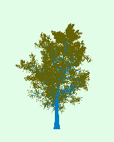 greenshift tree