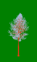 greenshift tree