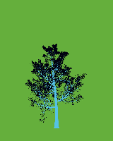 greenshift tree