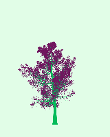 greenshift tree
