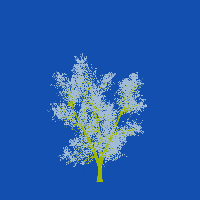 greenshift tree