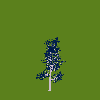 greenshift tree