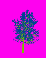 greenshift tree